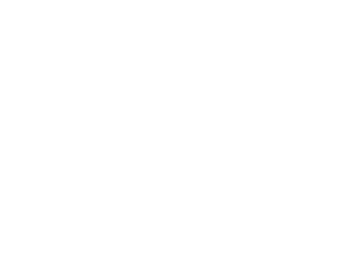 Afina Partners